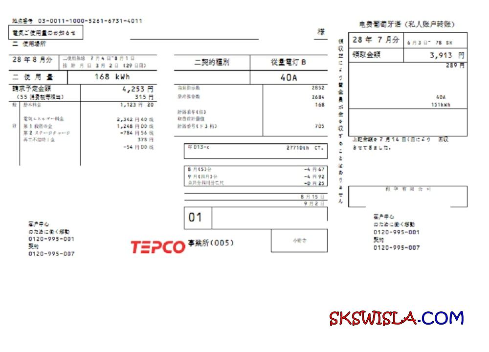 Japan Tokyo Electric Power Company (TEPCO) szablon rachunku za energię elektryczną w formacie Word i PDF (ーーリリティ請求書テンーート)